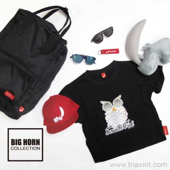 2016_BIG_HORN_Catalog