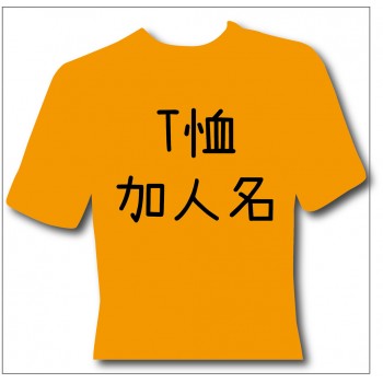 T恤加人名