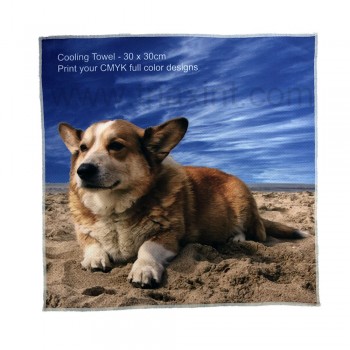 CMYK--Cooling_Towel